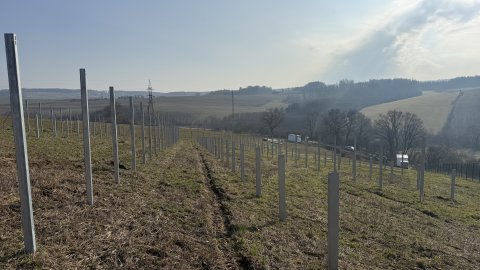 FVE + BESS Pohořelice - ve výstavbě